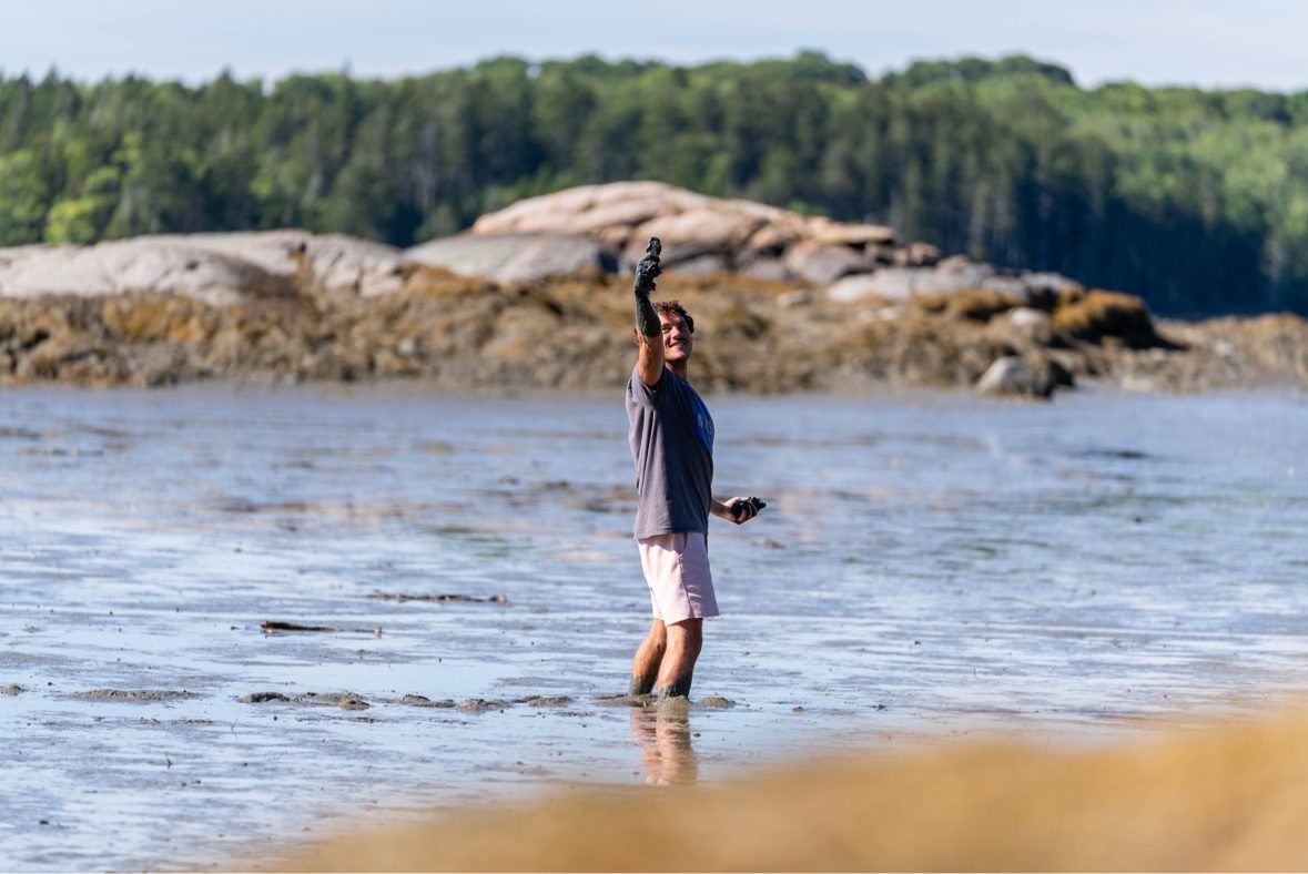 Clam digging in shallow coastal water at low tide